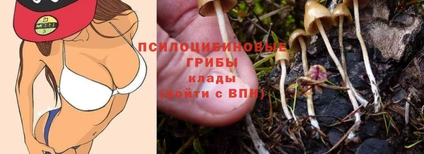 герыч Михайловск