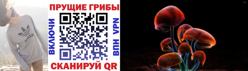 Псилоцибиновые грибы мицелий  Первоуральск 