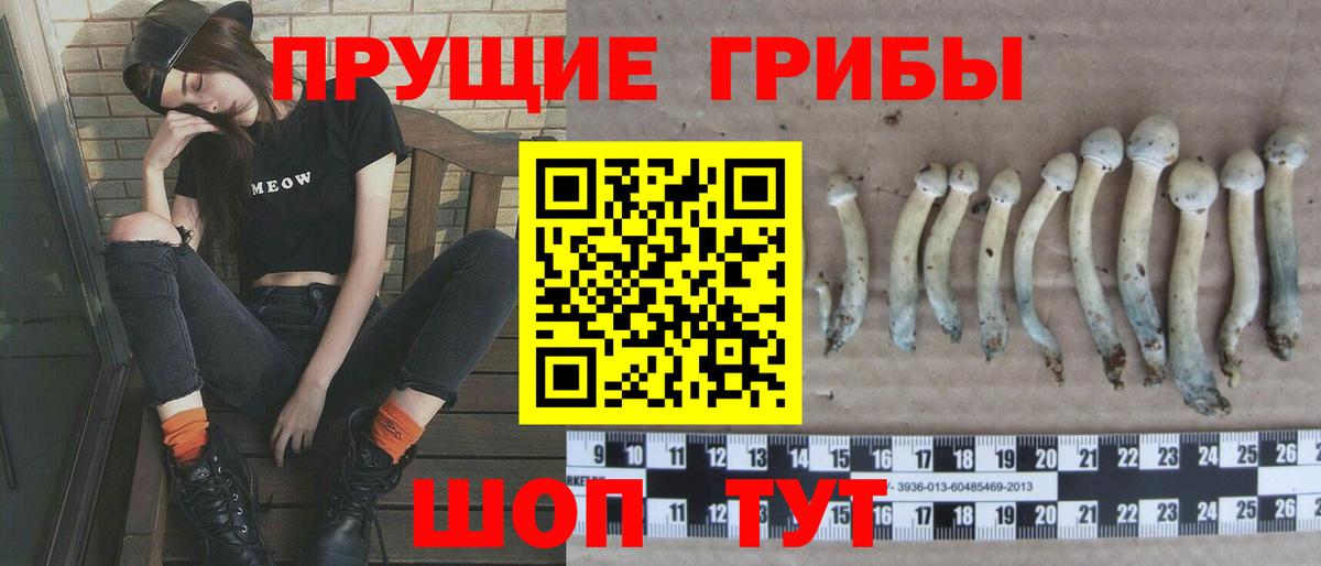 Первоуральск  Галлюциногенные грибы Magic Shrooms  Вход с VPN  Галлюциногенные грибы MAGIC MUSHROOMS 
